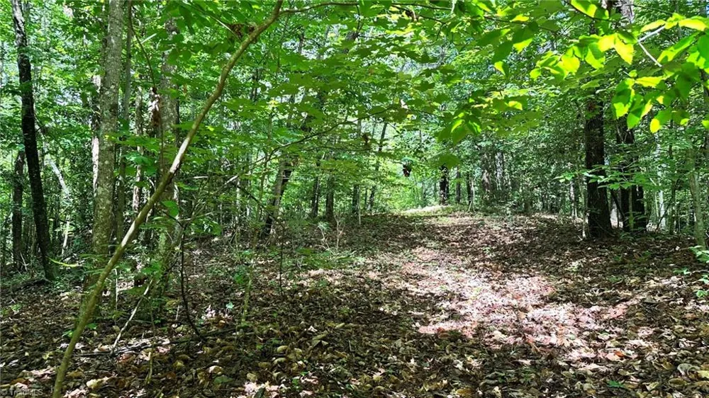 00D High Point Cove Wilkesboro, NC 28697