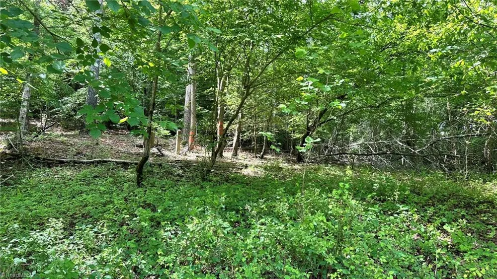 00C High Point Cove Wilkesboro, NC 28697