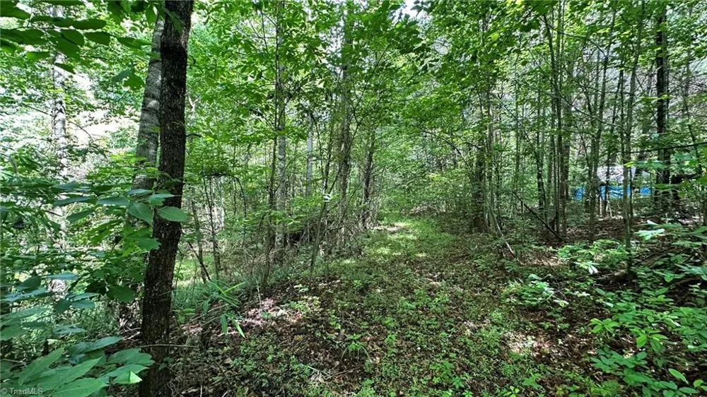 00C High Point Cove Wilkesboro, NC 28697