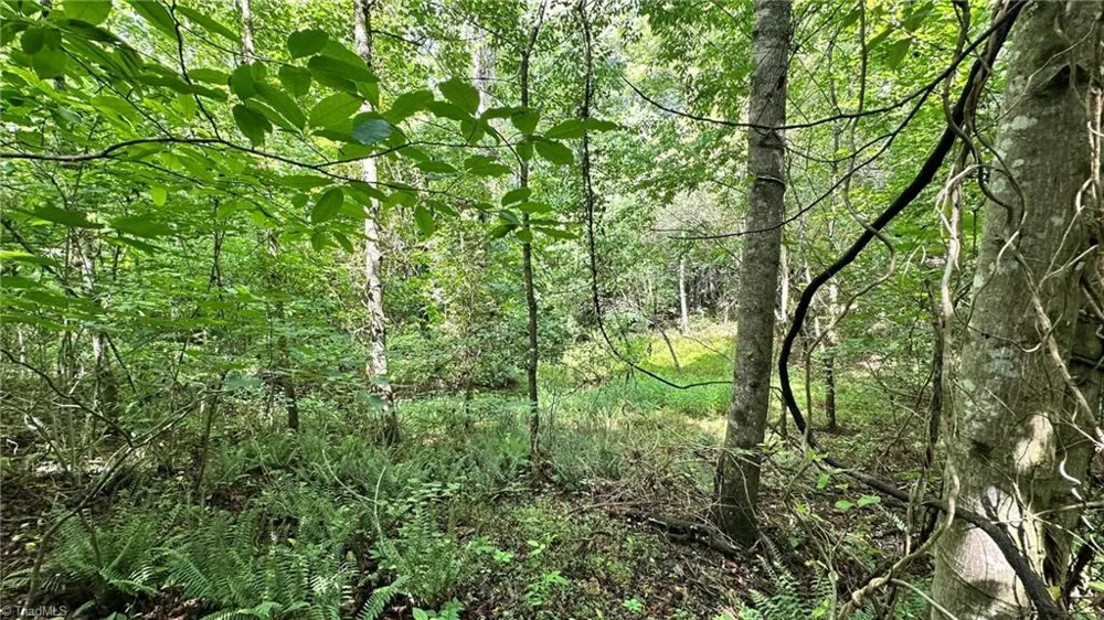 00C High Point Cove Wilkesboro, NC 28697
