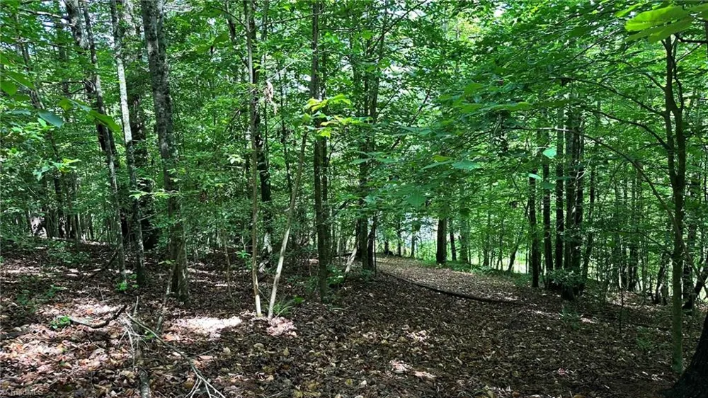 00C High Point Cove Wilkesboro, NC 28697