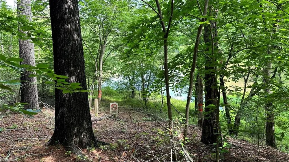 00C High Point Cove Wilkesboro, NC 28697