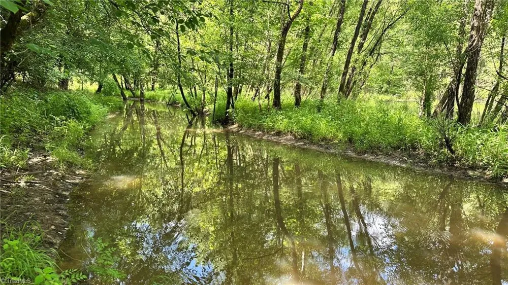 00C High Point Cove Wilkesboro, NC 28697