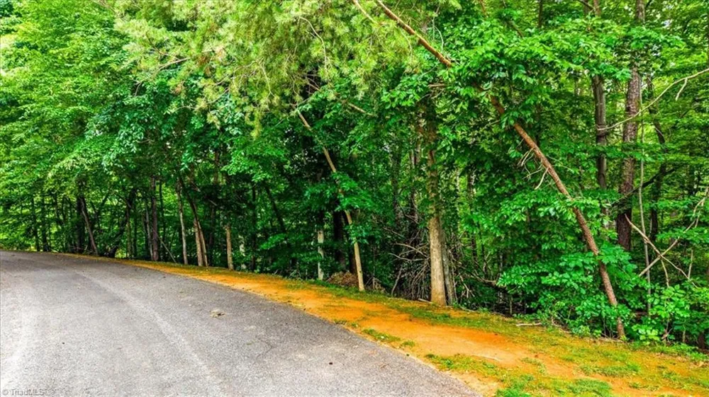 8006 Chatsworth Court Browns Summit, NC 27214