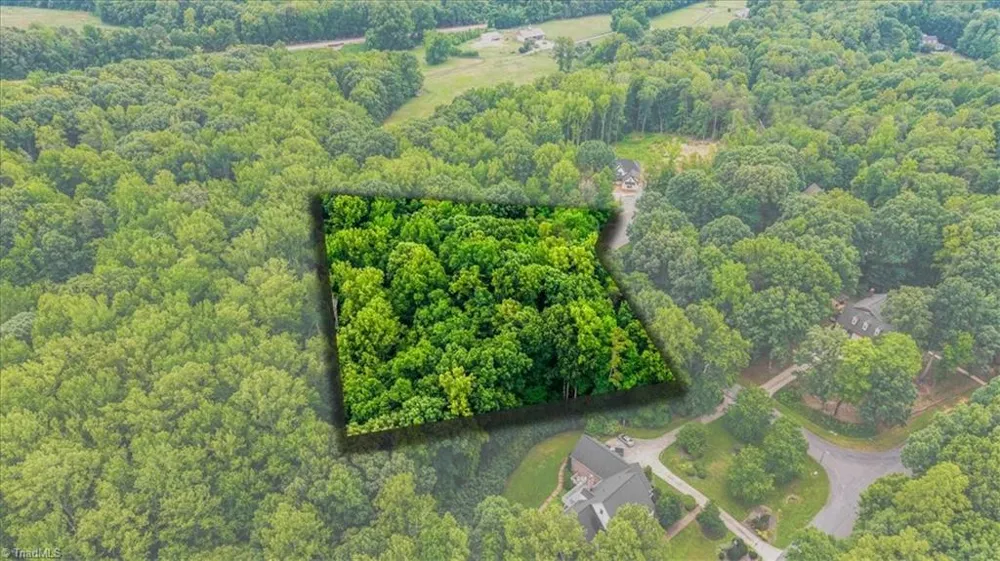 8006 Chatsworth Court Browns Summit, NC 27214
