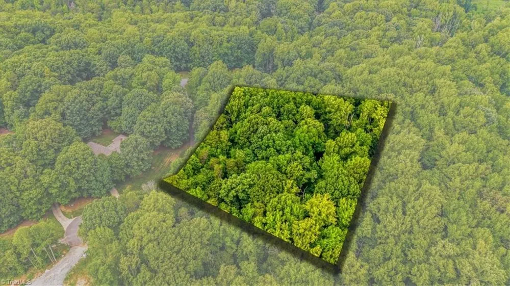 8006 Chatsworth Court Browns Summit, NC 27214