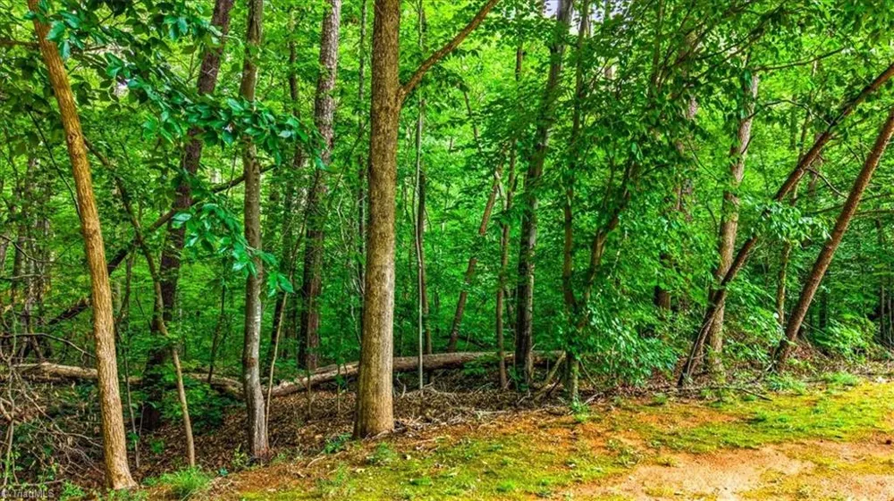 8002 Chatsworth Court Browns Summit, NC 27214