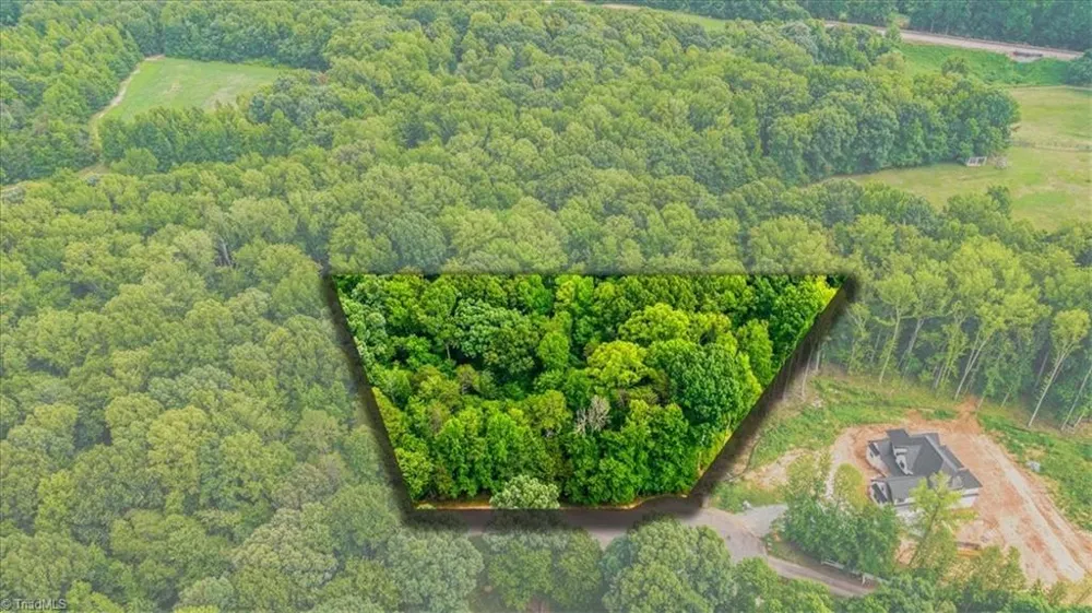 8002 Chatsworth Court Browns Summit, NC 27214