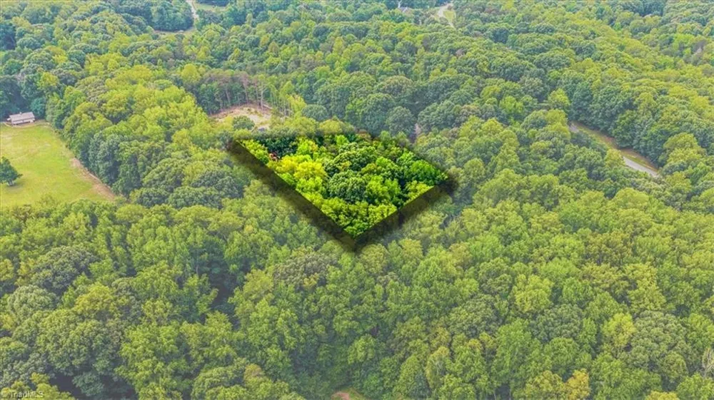 8002 Chatsworth Court Browns Summit, NC 27214