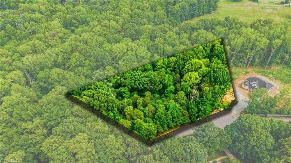 8002 Chatsworth Court Browns Summit, NC 27214