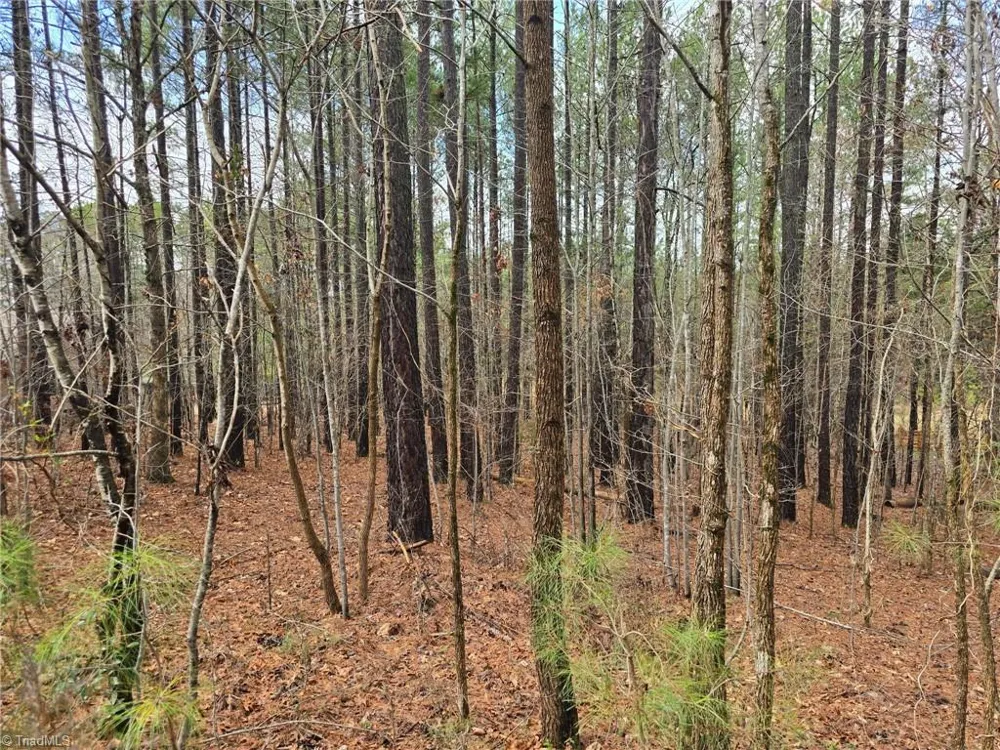 225 Cove Wood Drive Denton, NC 27239