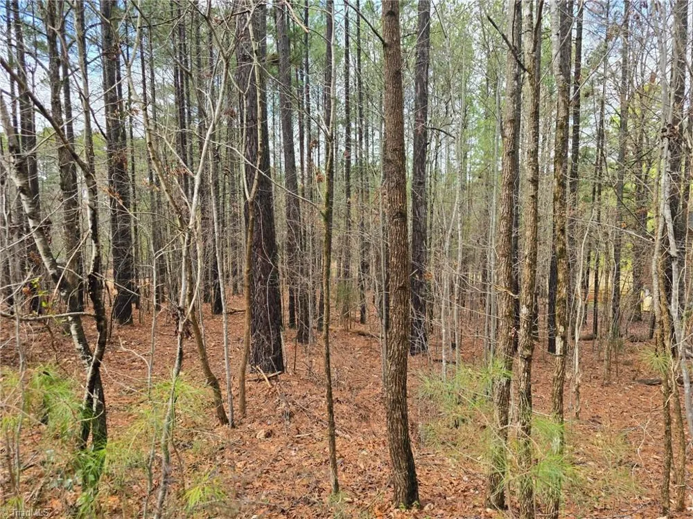 225 Cove Wood Drive Denton, NC 27239