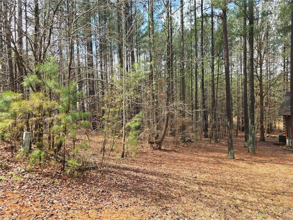 225 Cove Wood Drive Denton, NC 27239