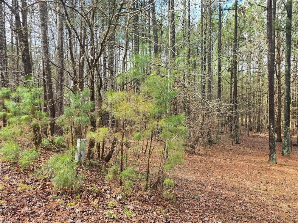 225 Cove Wood Drive Denton, NC 27239