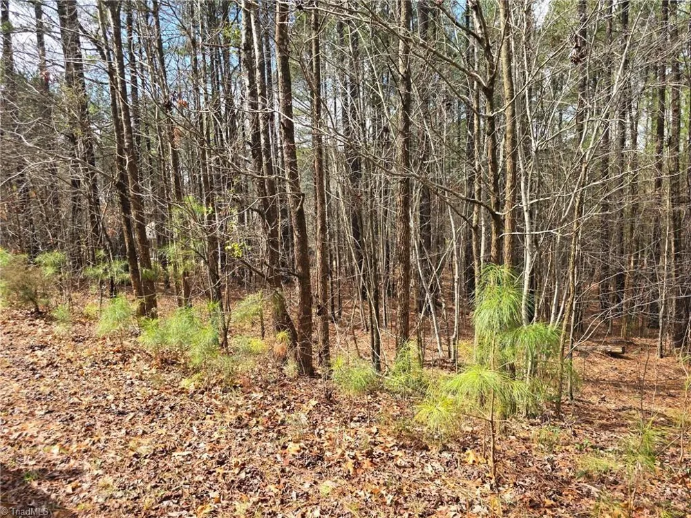 225 Cove Wood Drive Denton, NC 27239