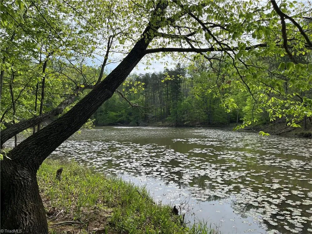 0 Sheets Trail Germanton, NC 27019
