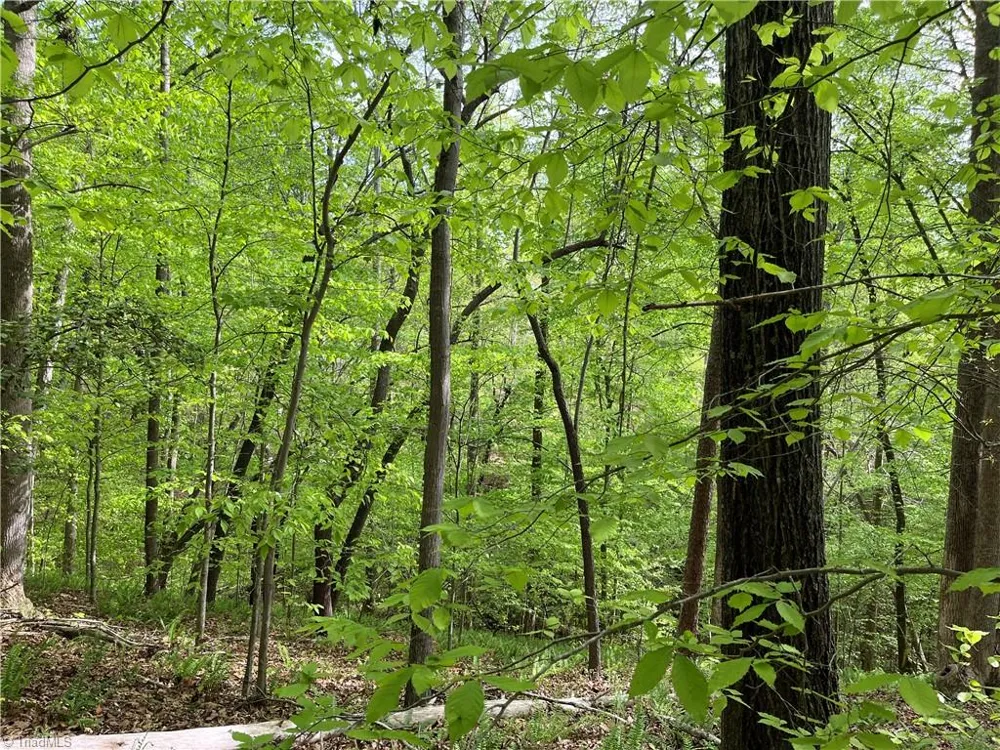 0 Sheets Trail Germanton, NC 27019