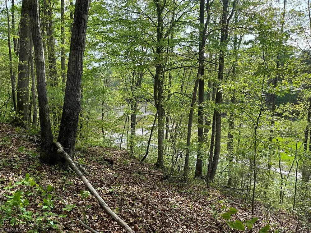 0 Sheets Trail Germanton, NC 27019
