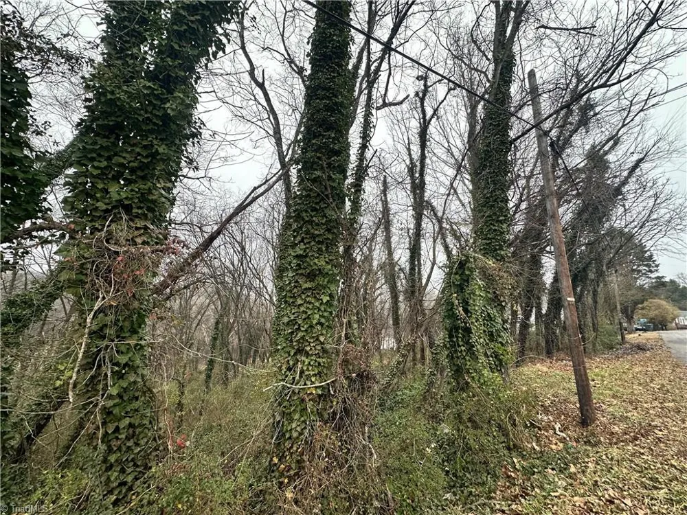00 Short Morgan Street Eden, NC 27288
