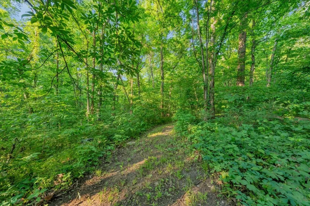 4679 Sparta Pike Watertown, TN 37184