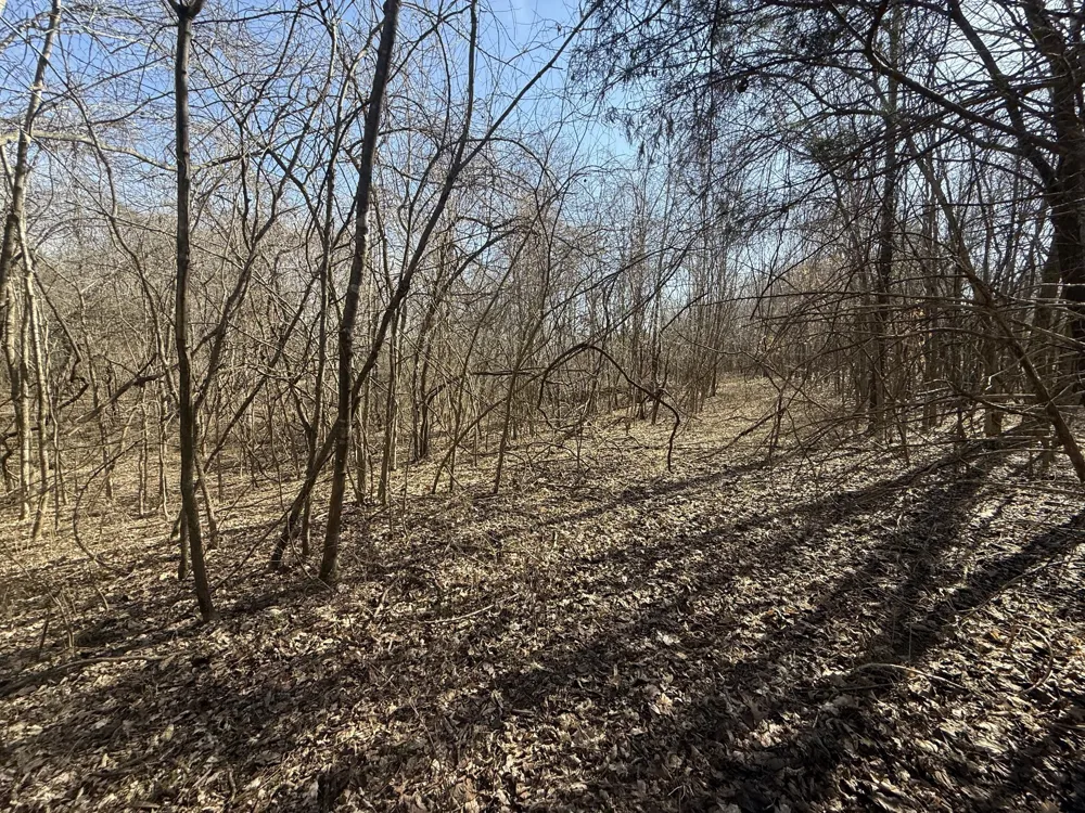 0 Epps Rd Southside, TN 37171