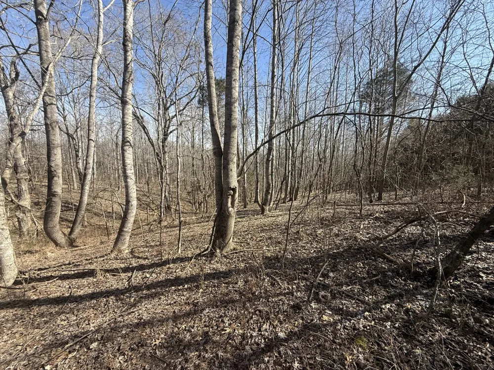 0 Epps Rd Southside, TN 37171