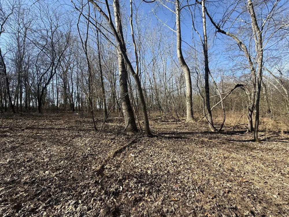 0 Epps Rd Southside, TN 37171