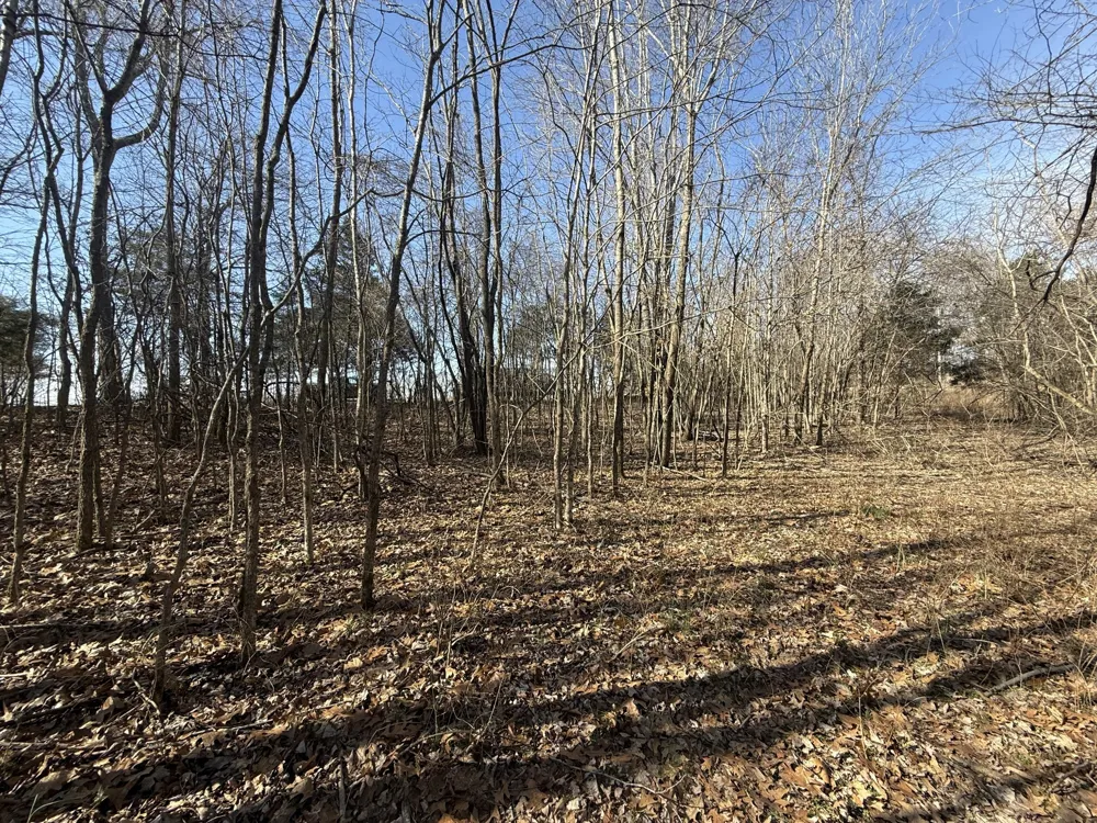 0 Epps Rd Southside, TN 37171