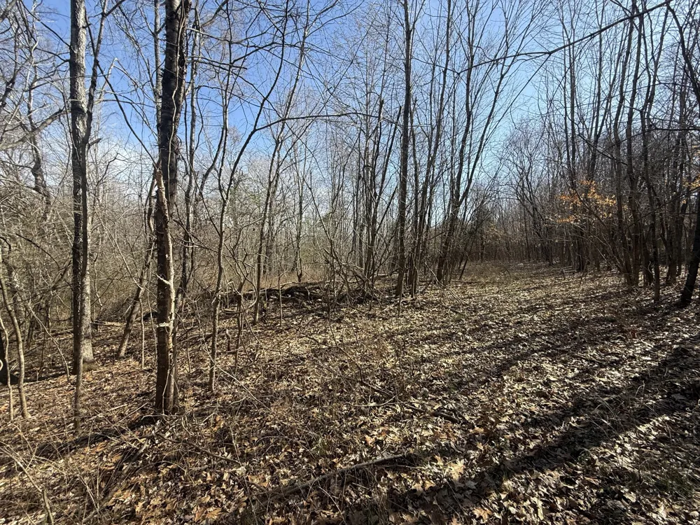 0 Epps Rd Southside, TN 37171