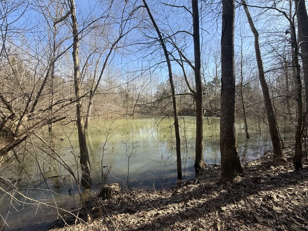 0 Epps Rd Southside, TN 37171