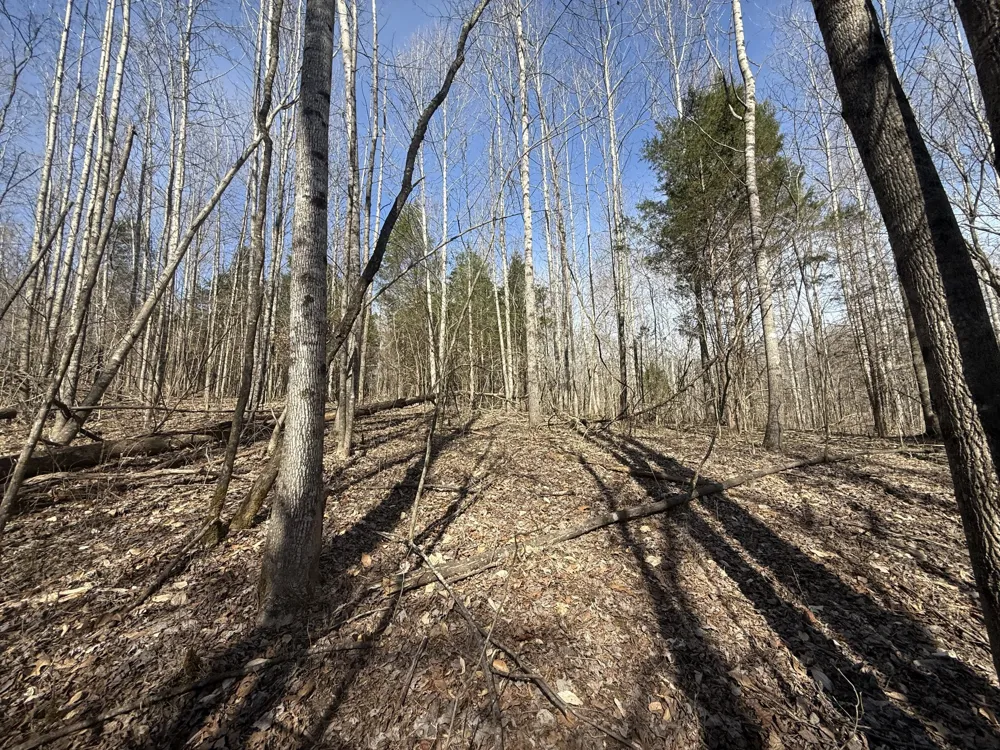 0 Epps Rd Southside, TN 37171