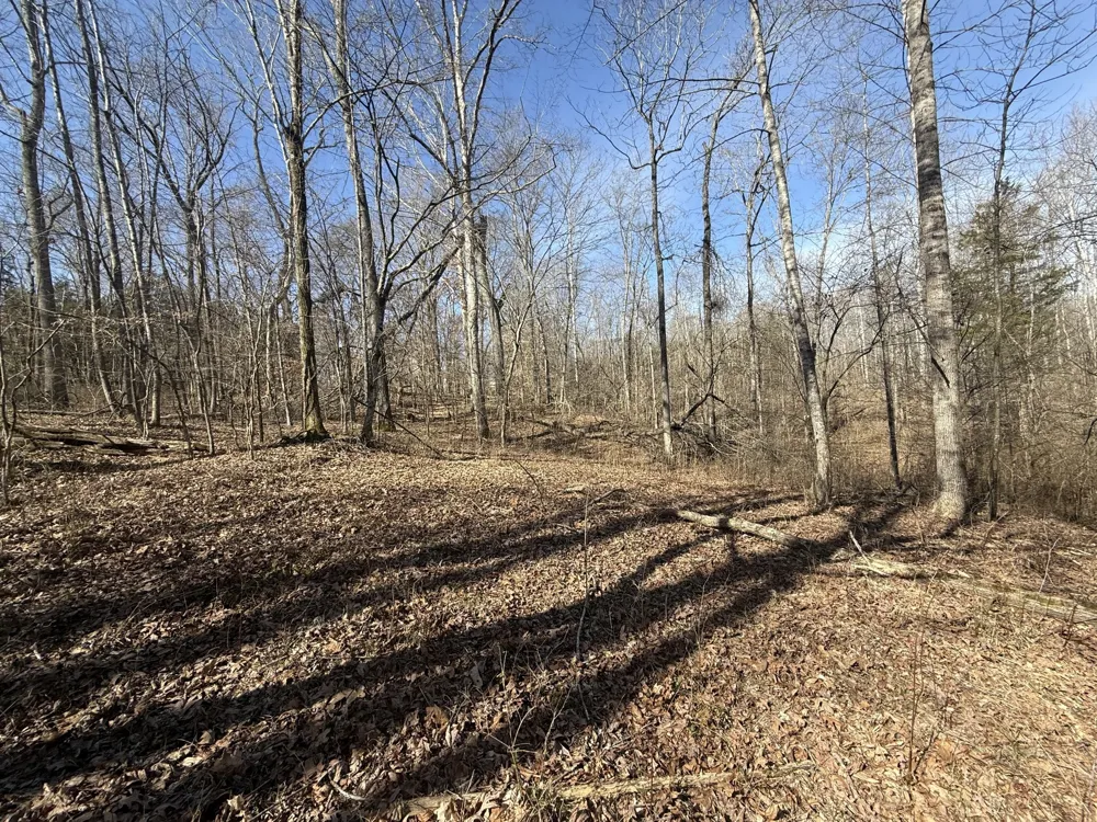 0 Epps Rd Southside, TN 37171