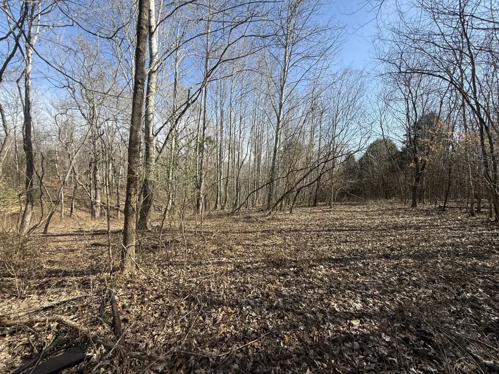 0 Epps Rd Southside, TN 37171