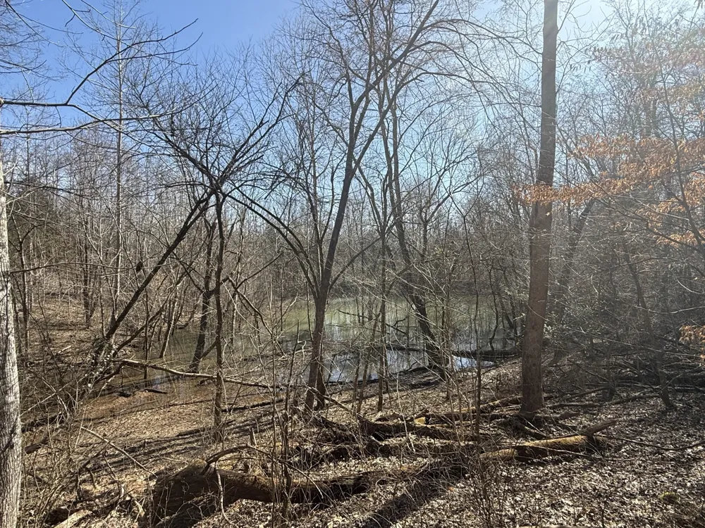 0 Epps Rd Southside, TN 37171