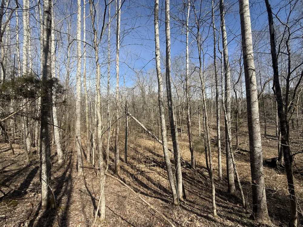 0 Epps Rd Southside, TN 37171