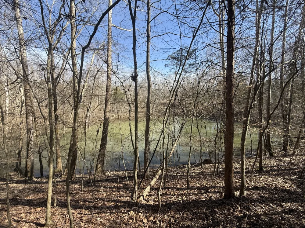 0 Epps Rd Southside, TN 37171