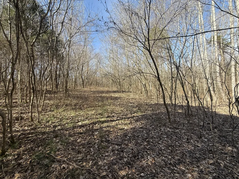 0 Epps Rd Southside, TN 37171