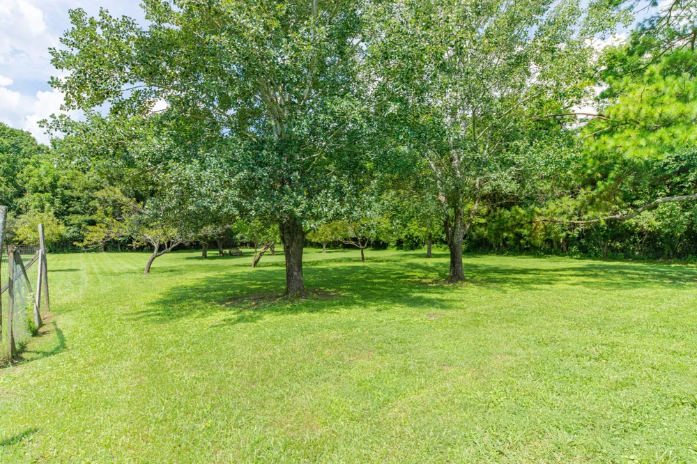 330 Holly Grove Rd Lewisburg, TN 37091