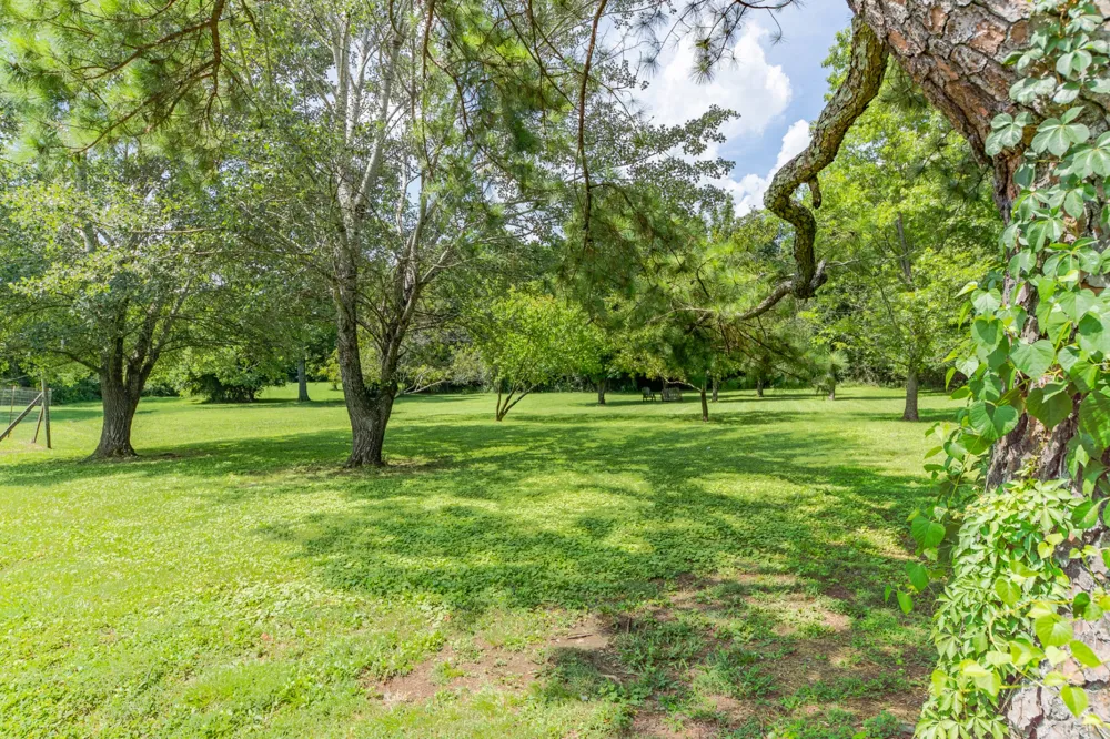 330 Holly Grove Rd Lewisburg, TN 37091