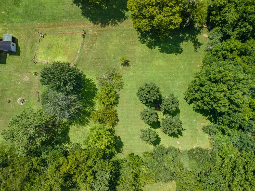 330 Holly Grove Rd Lewisburg, TN 37091