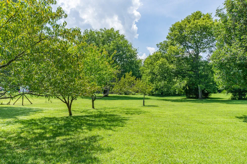 330 Holly Grove Rd Lewisburg, TN 37091