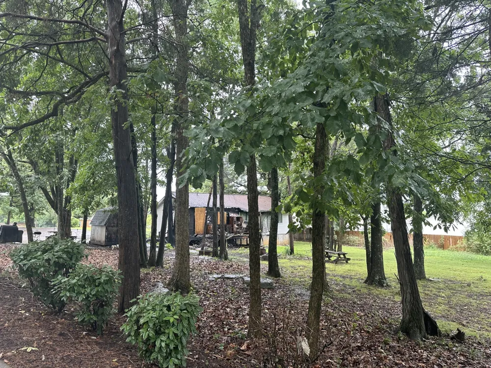 1323 Bluebird Rd Lebanon, TN 37087
