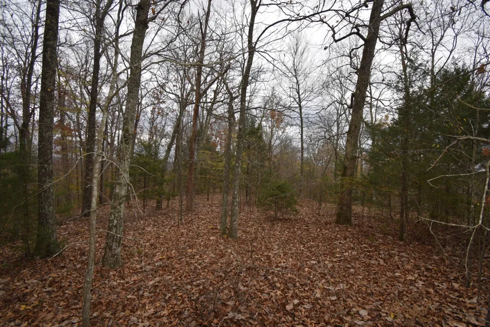 0 Depriest Bend Dr Lobelville, TN 37097