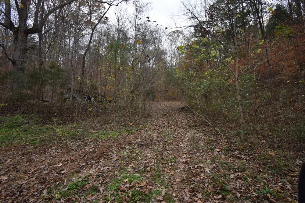 0 Depriest Bend Dr Lobelville, TN 37097