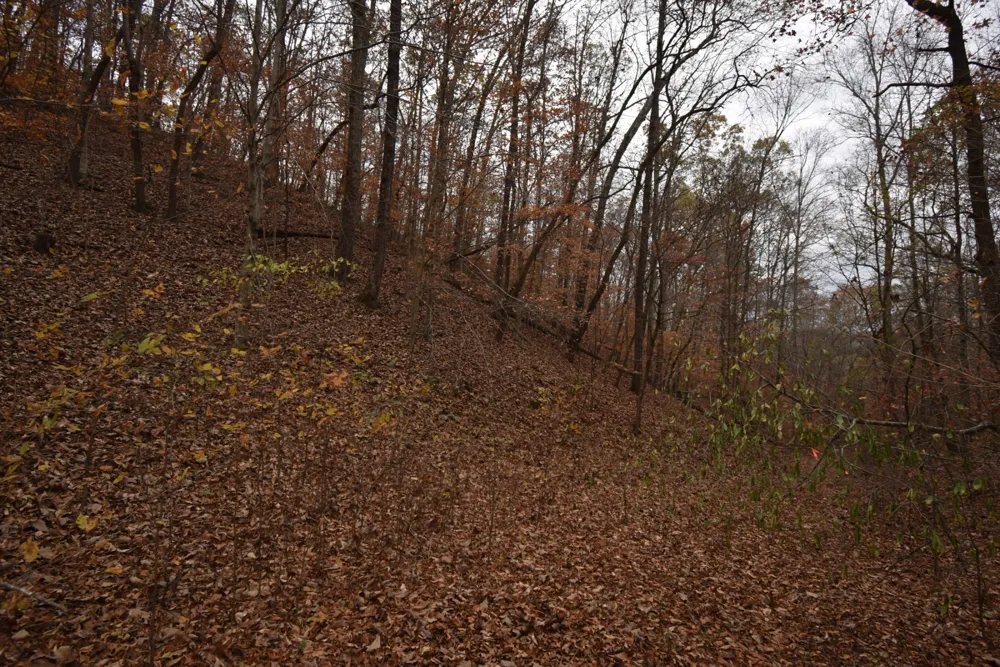 0 Depriest Bend Dr Lobelville, TN 37097