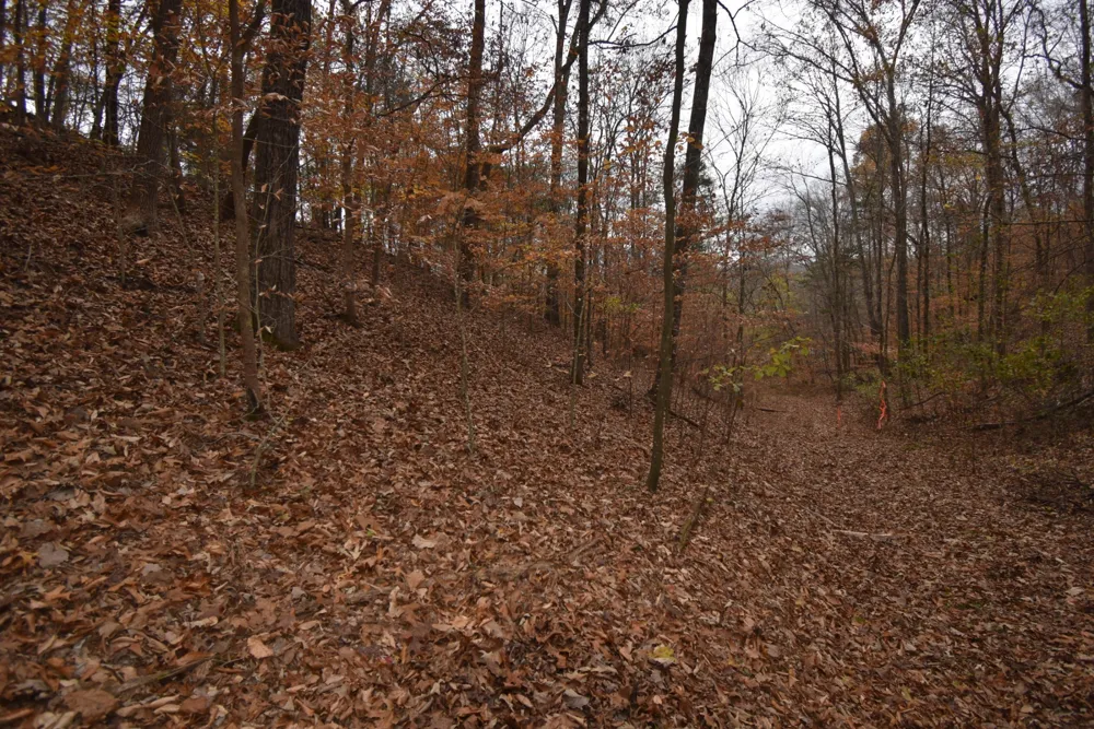 0 Depriest Bend Dr Lobelville, TN 37097