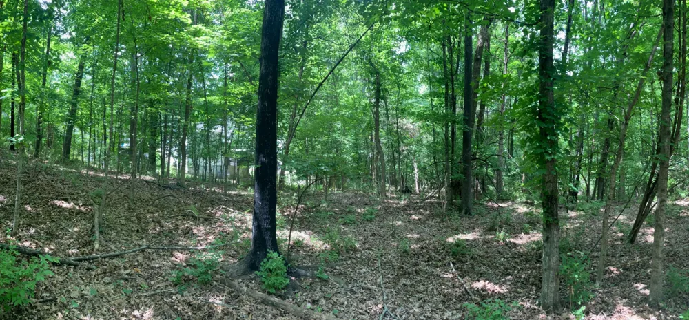 0 Township Dr Hendersonville, TN 37075