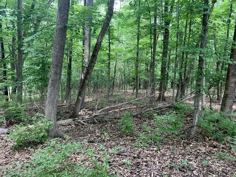 0 Township Dr Hendersonville, TN 37075