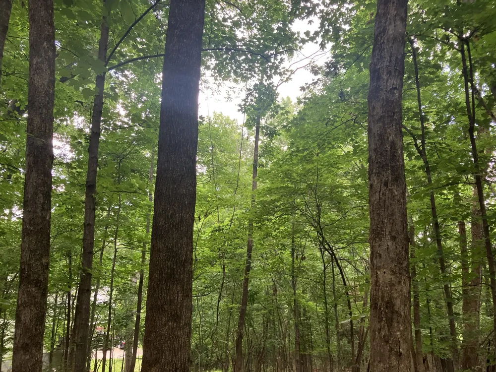 0 Township Dr Hendersonville, TN 37075