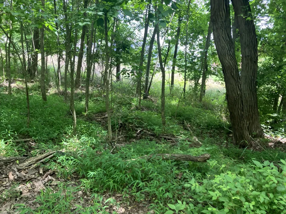 0 Township Dr Hendersonville, TN 37075